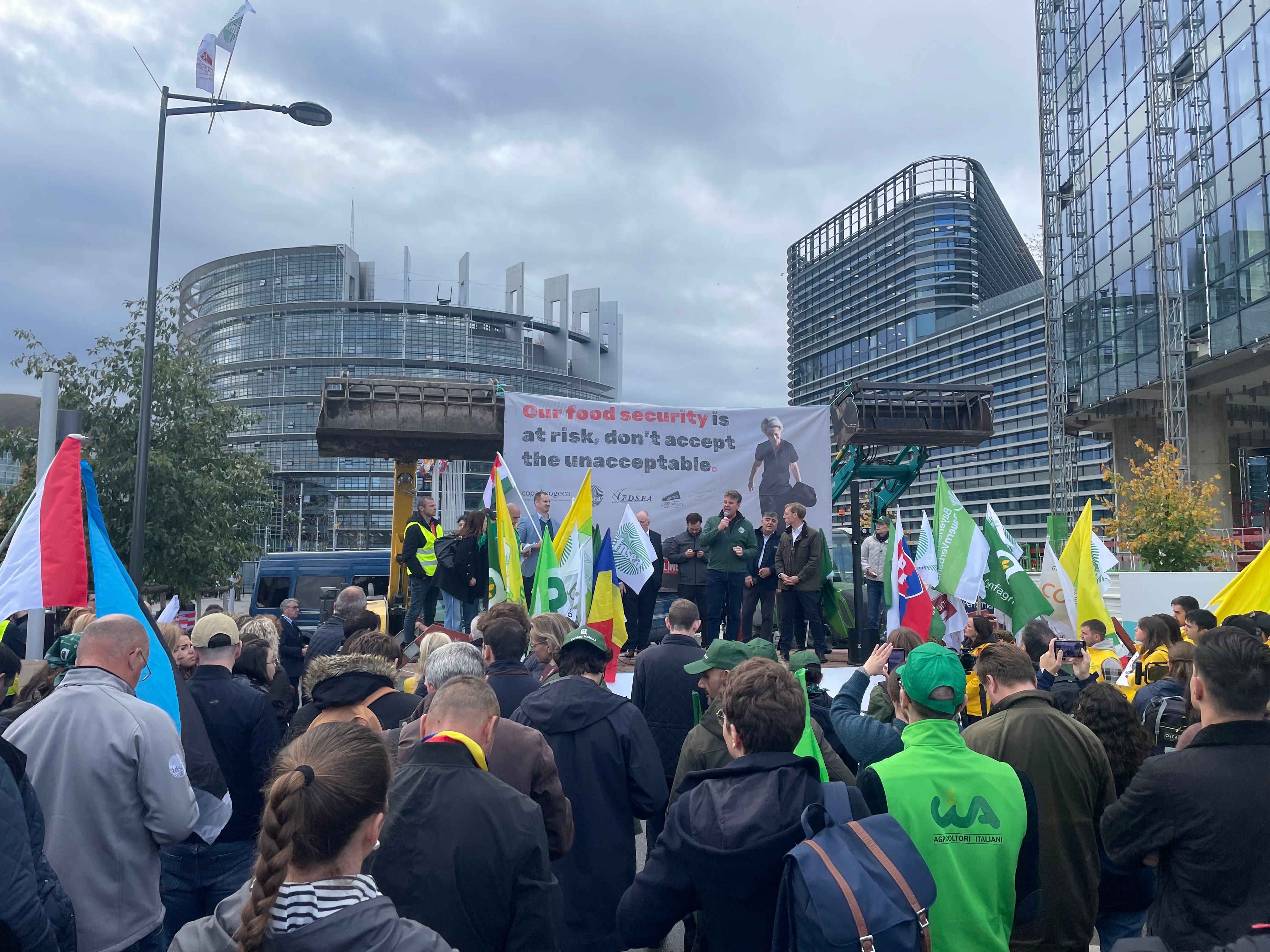 CAP na ação conjunta das organizações agrícolas europeias em Estrasburgo