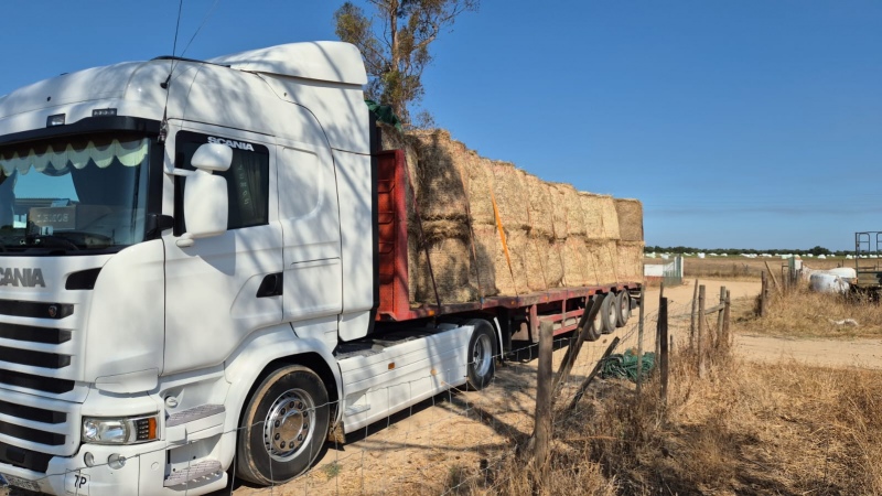 INCÊNDIOS: Filiadas da CAP unidas no apoio aos agricultores afetados