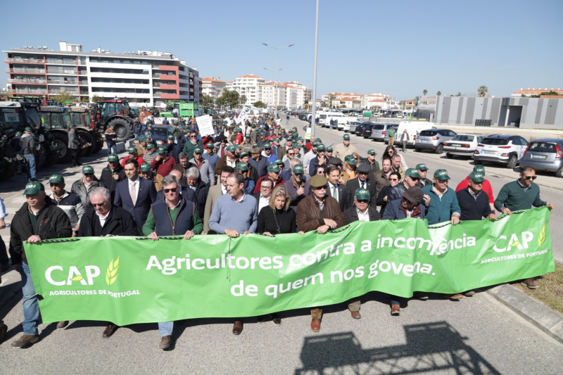 No dia 2 de março foi a vez da região do Ribatejo e Oeste se manifestar contra a política do Ministério da Agricultura, na quarta ação de protesto promovida pela Confederação dos Agricultores de Portugal.

Mais de 60 organizações, 320 tratores e 2000 agricultores invadiram as ruas da cidade naquela que é a maior manifestação de agricultores que alguma vez desfilou nesta cidade do distrito de Leiria. “Estão aqui muitos agricultores que estão a ser maltratados pelo Ministério da Agricultura e todas estas máquinas significam a indignação no mundo rural”, afirmaram os presentes. “É o desespero é que nos leva a esta manifestação”

O secretário-geral da CAP lembrou que este é o ano em que entra em vigor uma ‘nova‘ PAC, com muitas regras e legislação nova, sem que o Ministério tivesse promovido as fundamentais sessões de informação. Ao invés, preferiu arrancar ontem com a Campanha. Por isso “hoje, mais de 80% dos agricultores não conseguem preencher o pedido” de candidatura. “O Ministério não ouve nem trabalha com o sector. Não tem capacidade para executar os fundos que estão disponíveis para Portugal”, afirmou Luis Mira.

O presidente da CAP voltou a insistir na má decisão de extinguir as Direções Regionais de Agricultura e da passagem das suas funções para as CCDR, como uma medida destinada a destruir o Ministério “E a própria ministra que encabeça essa destruição”, reforçou Oliveira e Sousa.

As ações de protesto da CAP não terminaram e, dentro de uma semana, os agricultores voltam a encontrar-se para mais uma manifestação que terá lugar na cidade de Beja, no dia 9 de março.


	



	
