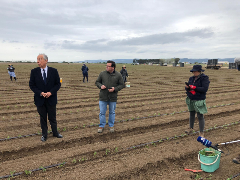 Presidente da República reconhece trabalho dos agricultores numa visita à Leziria de Vila Franca de Xira