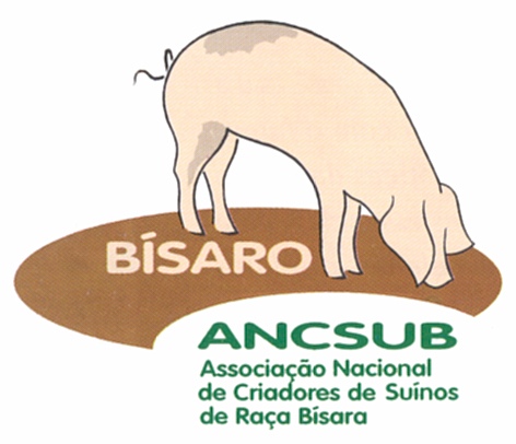 CRIADORES DE SUINOS BÍSAROS apreensivos com decisão da Universidade de Coimbra de proibir consumo carne de vaca