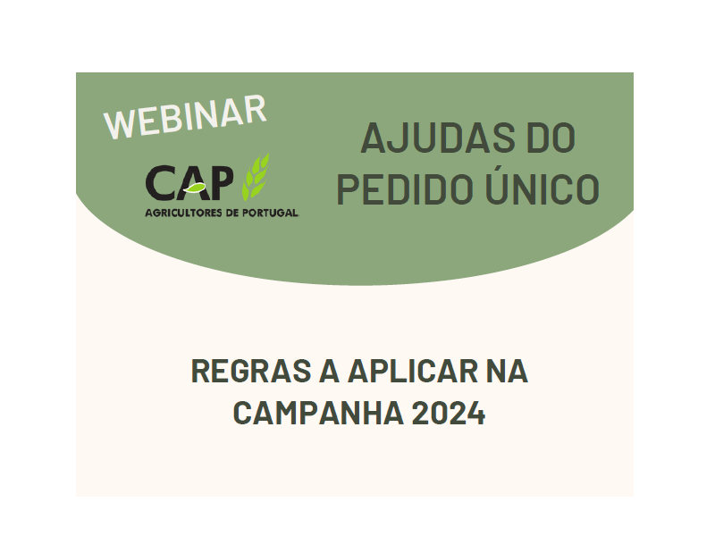 Ajudas ao Pedido Único. Regras a aplicar na campanha de 2024