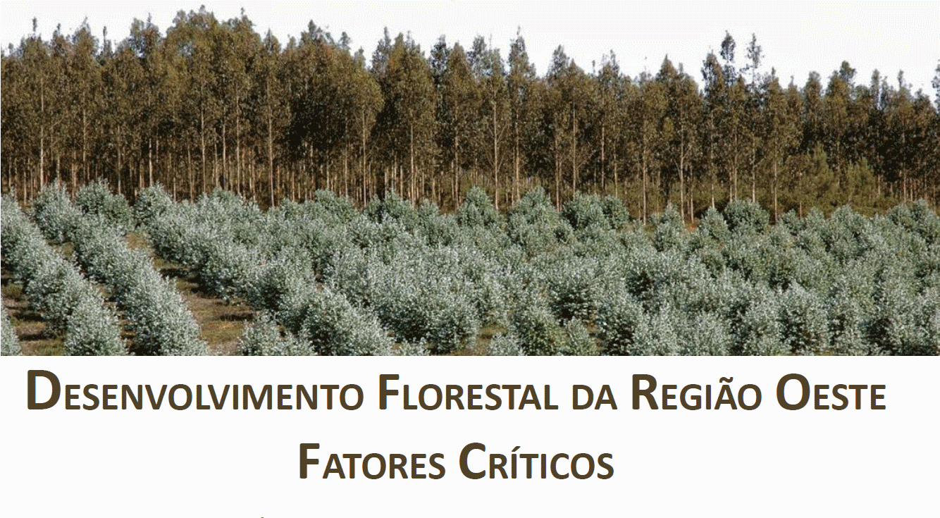 DESENVOLVIMENTO FLORESTAL DA REGIÃO OESTE: FATORES CRÍTICOS