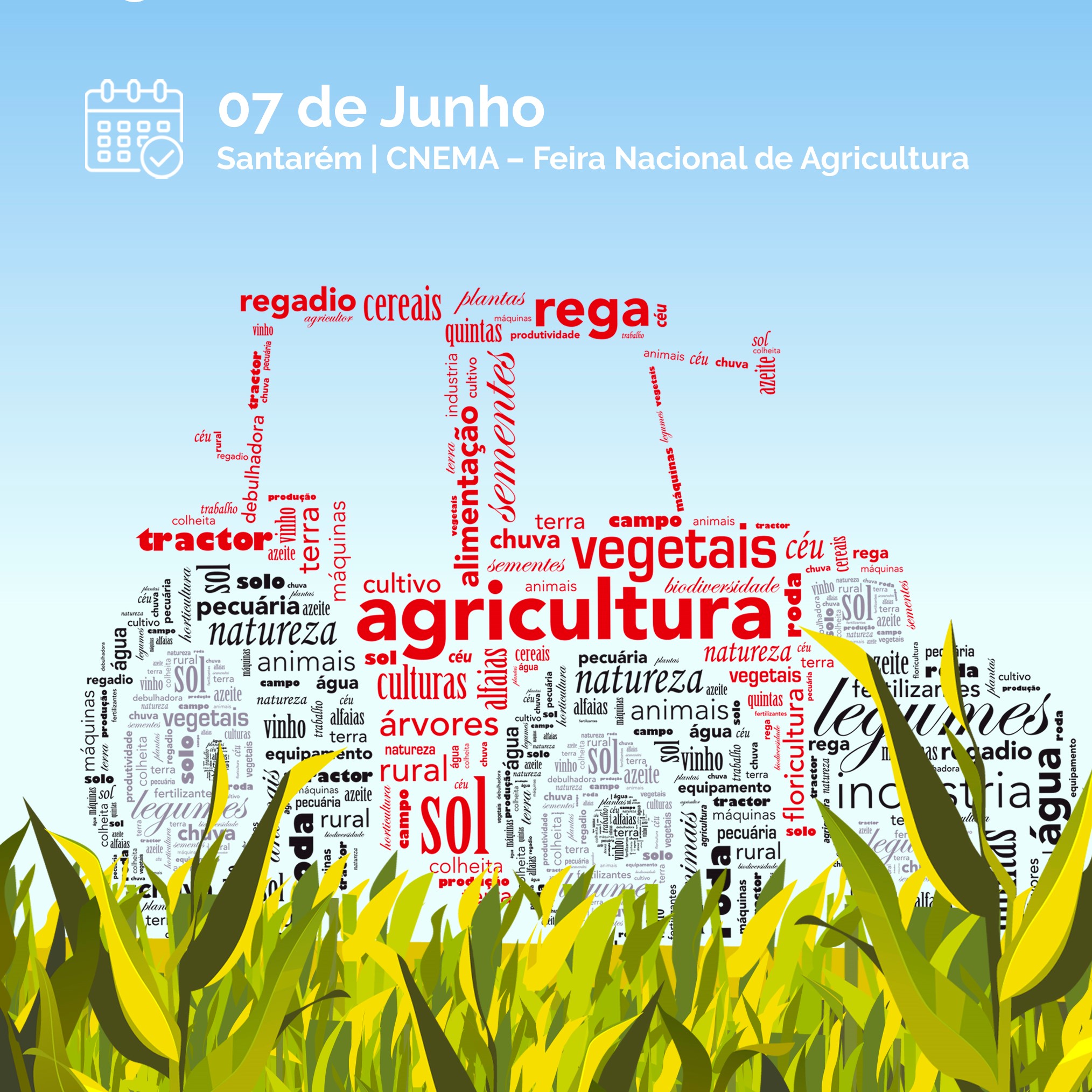 O futuro dos jovens agricultores. Prémio Melhor Jovem Agricultor 2022