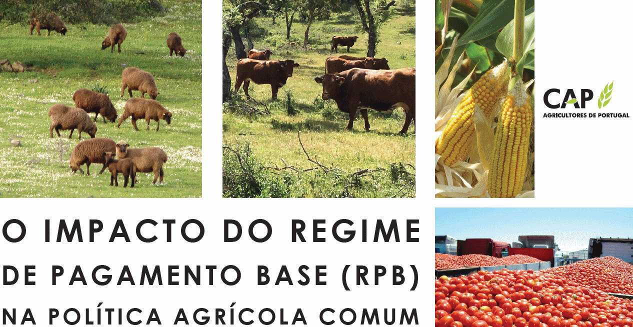 Regime de Pagamento Base (RPB) na PAC